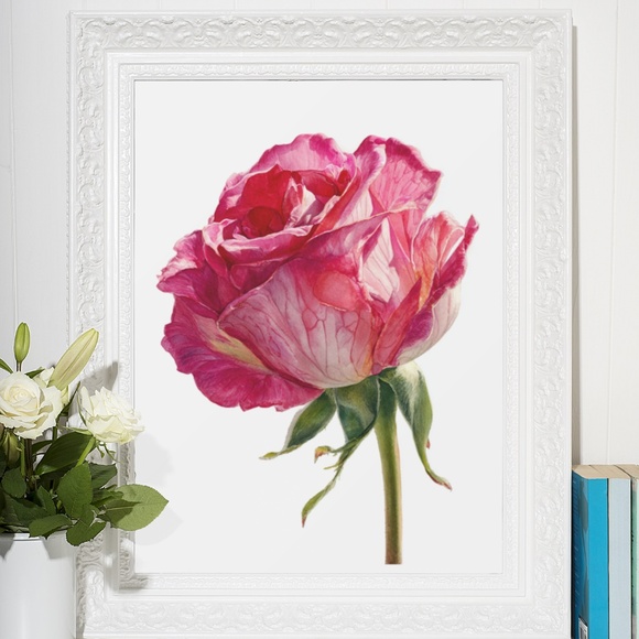 Watercolor Single Pink Rose Wall Art Print, Unframed - Delicate Floral Elegance - Picture 6 of 6
